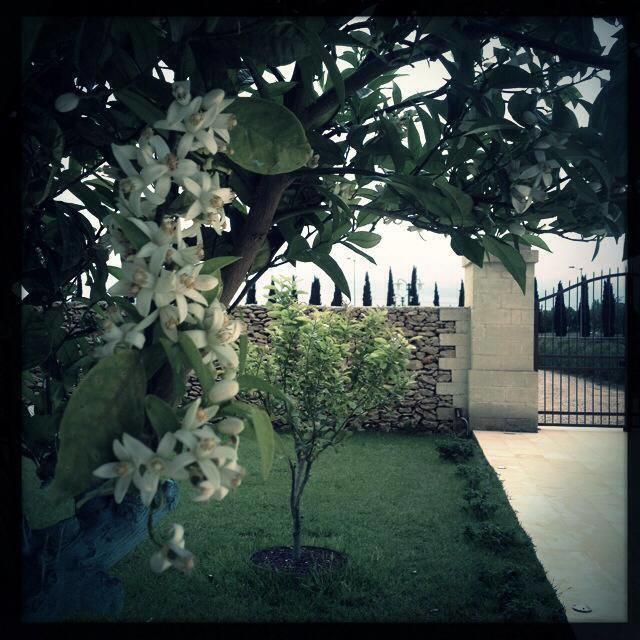 Masseria San Polo Squinzano Экстерьер фото