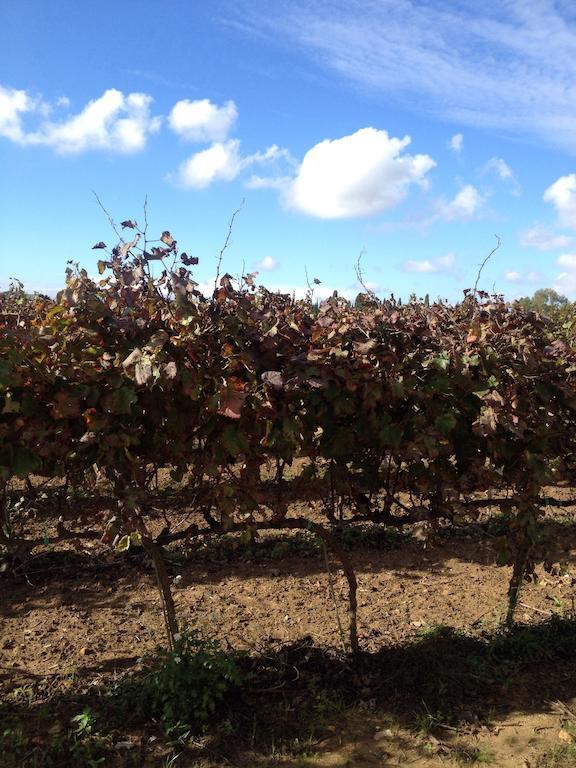 Masseria San Polo Squinzano Экстерьер фото